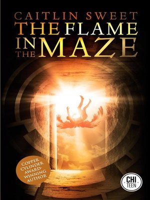 cover image of The Flame in the Maze